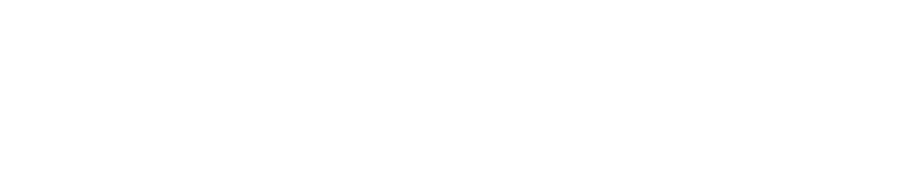 Steer Health Logo White